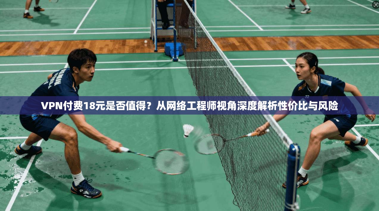 VPN付费18元是否值得？从网络工程师视角深度解析性价比与风险