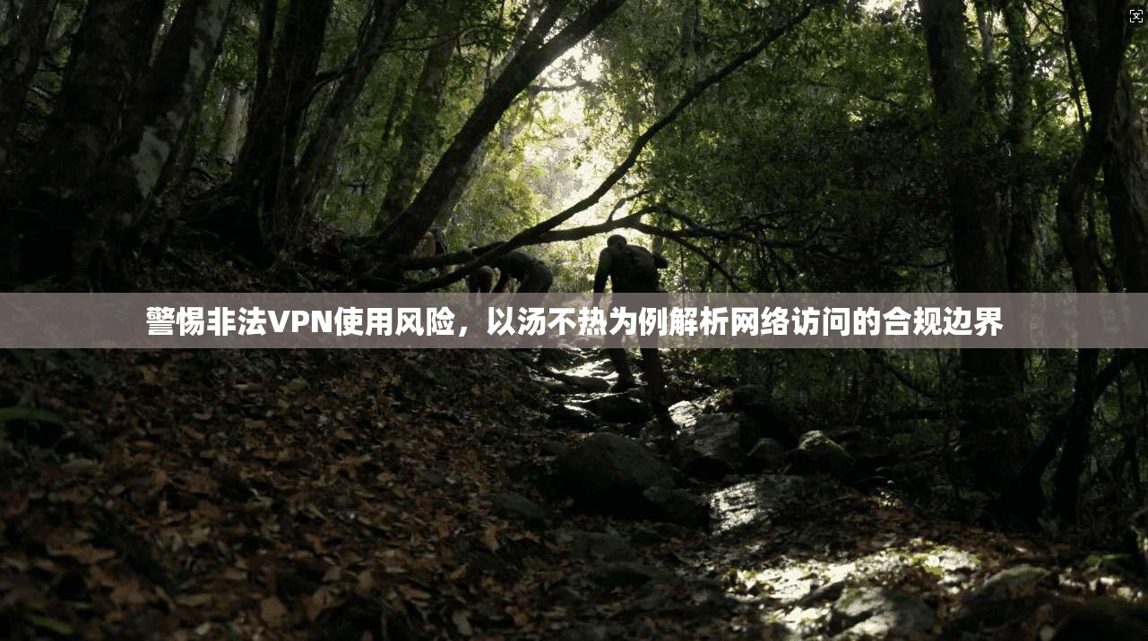 警惕非法VPN使用风险，以汤不热为例解析网络访问的合规边界