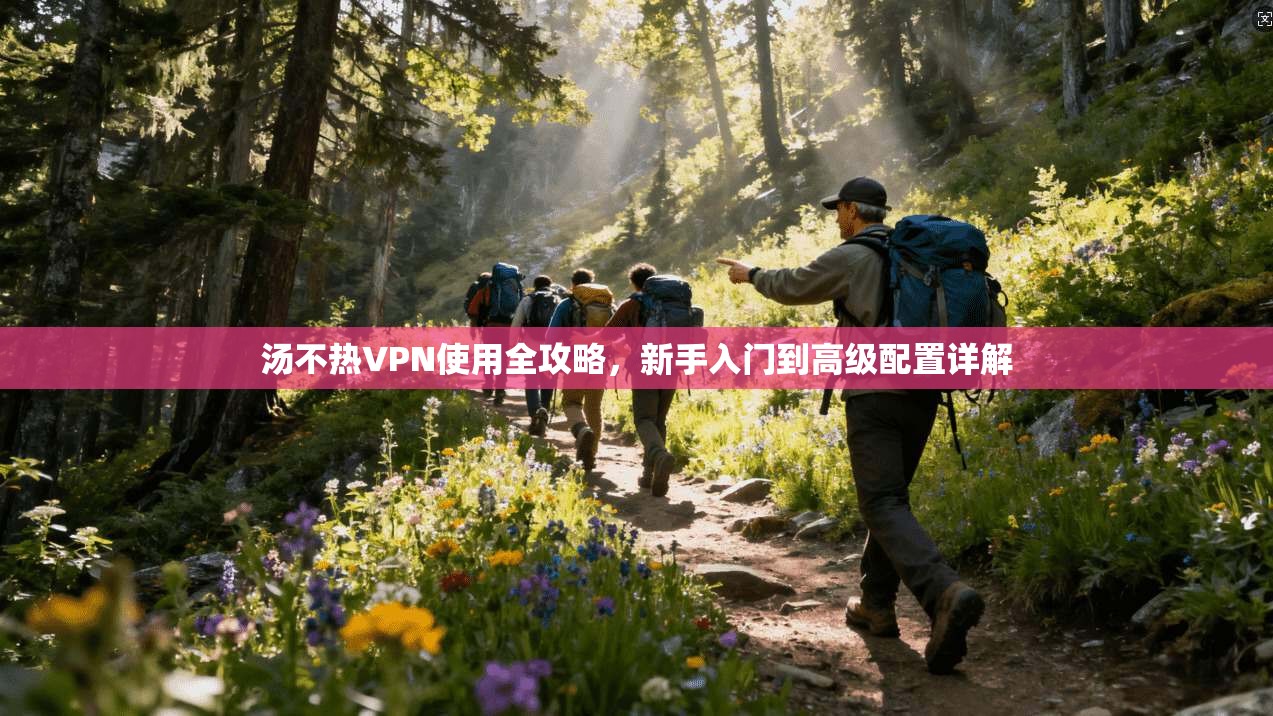 汤不热VPN使用全攻略，新手入门到高级配置详解