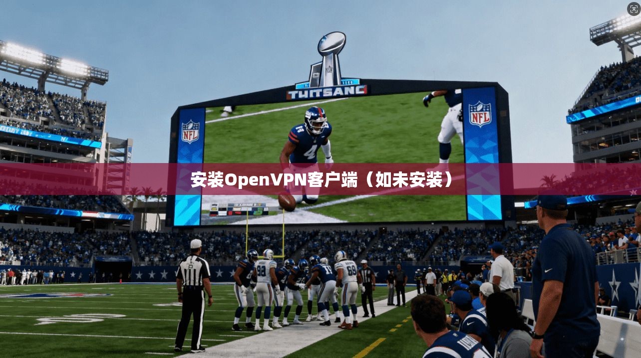 安装OpenVPN客户端（如未安装）