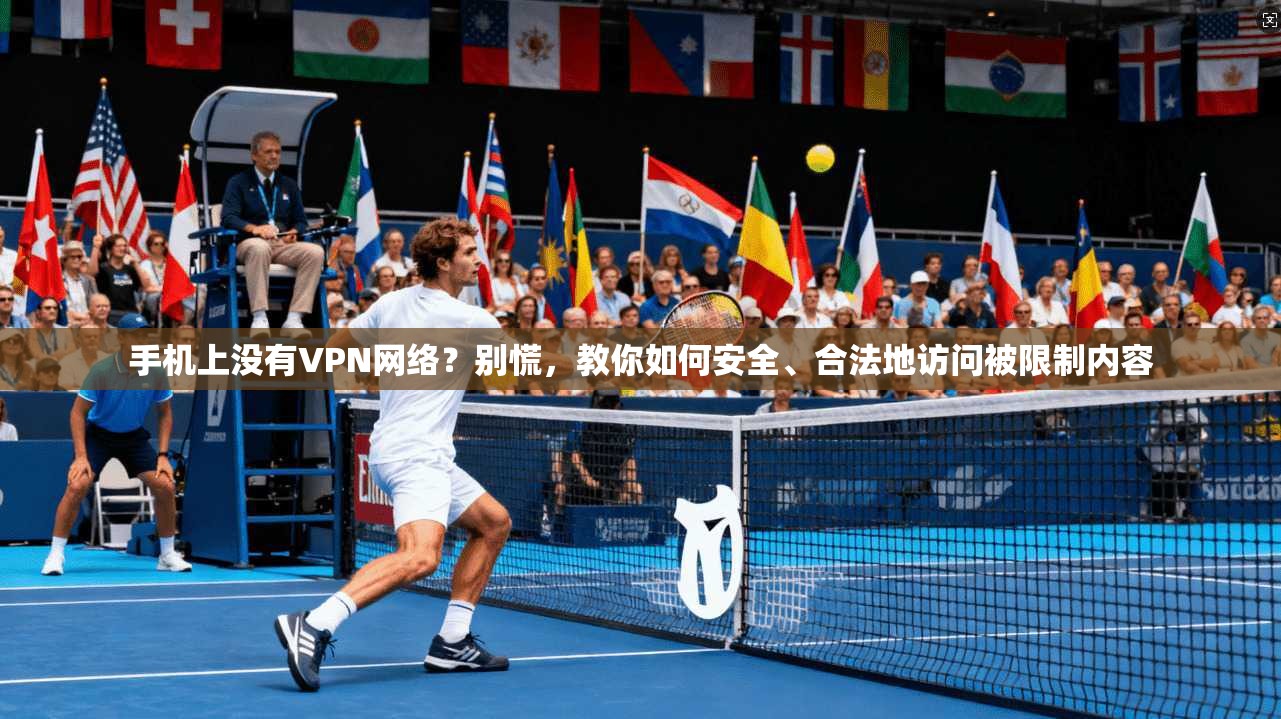 手机上没有VPN网络？别慌，教你如何安全、合法地访问被限制内容
