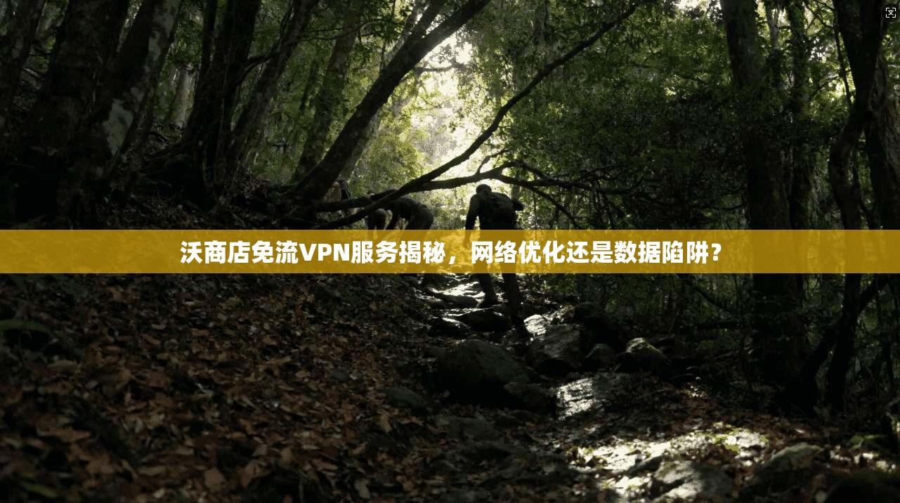沃商店免流VPN服务揭秘,网络优化还是数据陷阱?