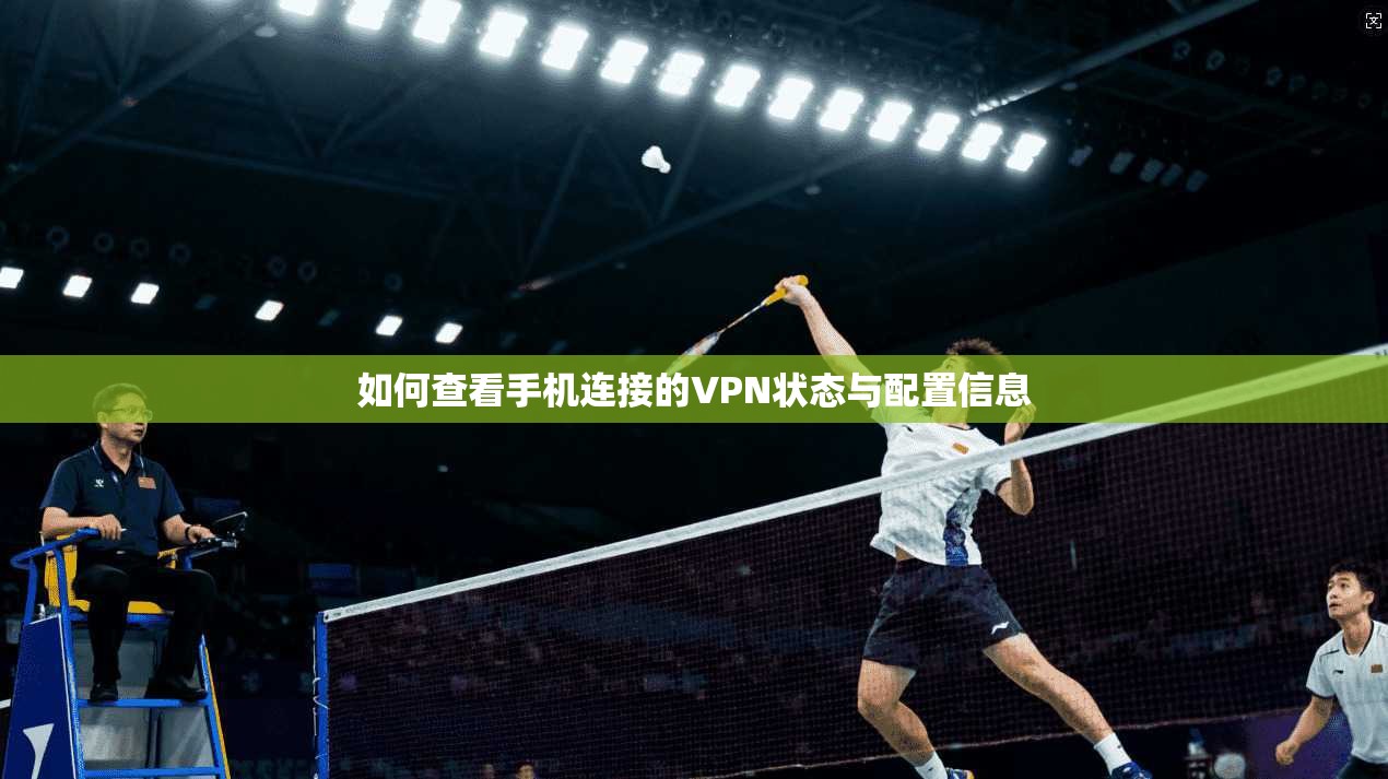 如何查看手机连接的VPN状态与配置信息