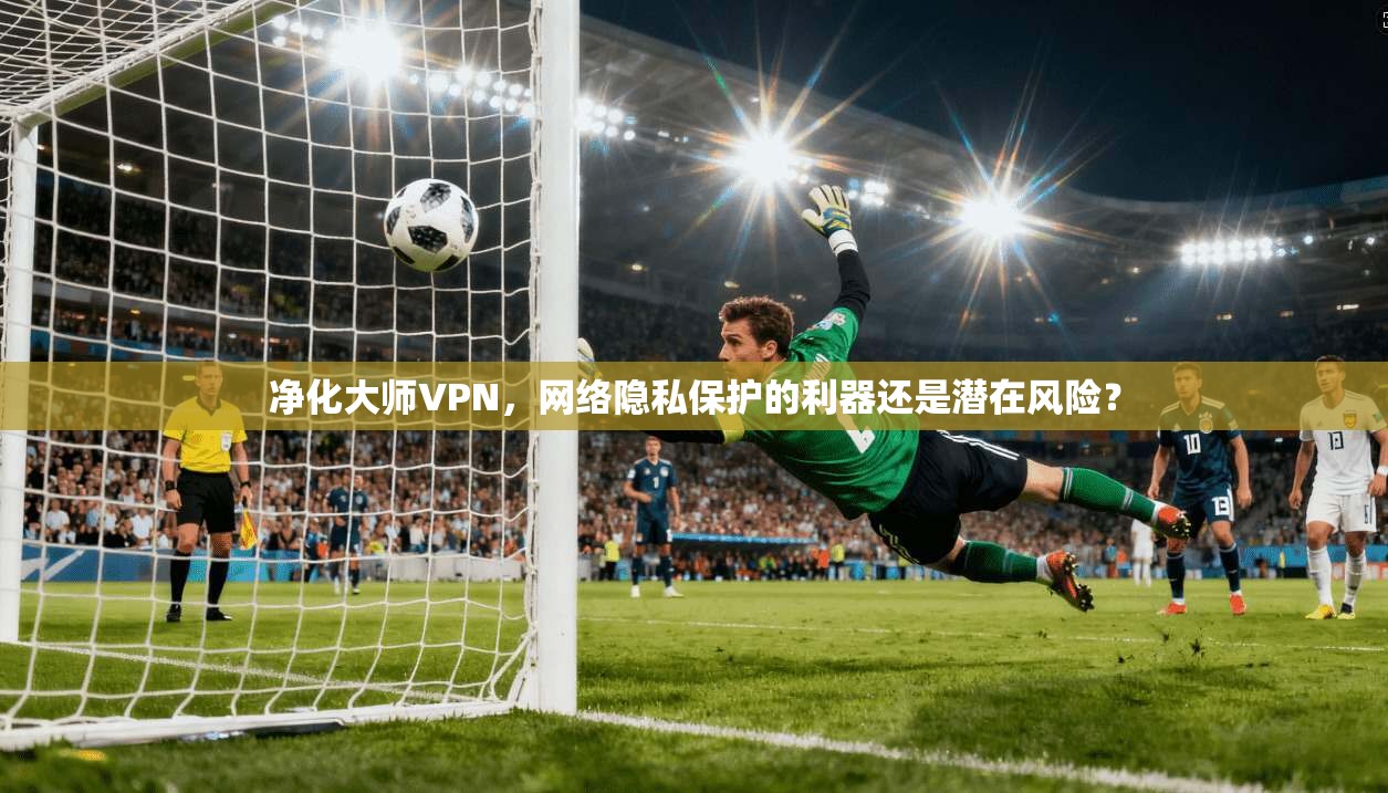 净化大师VPN，网络隐私保护的利器还是潜在风险？