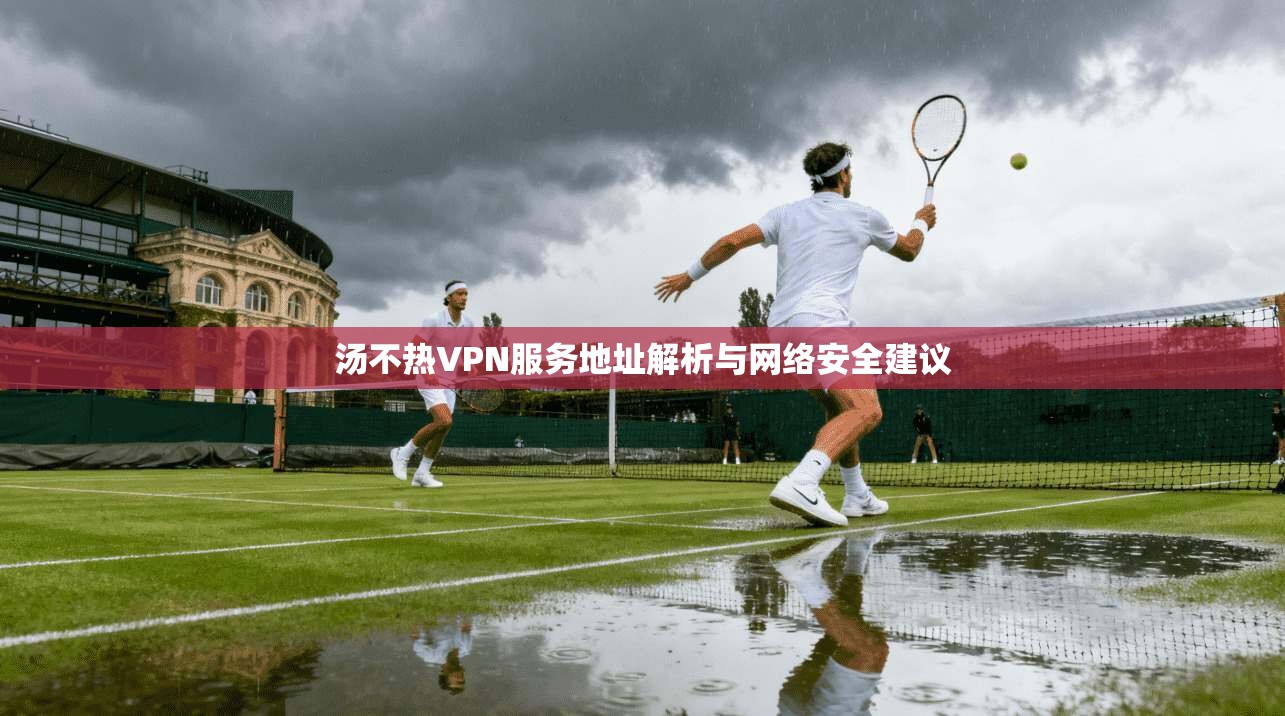 汤不热VPN服务地址解析与网络安全建议