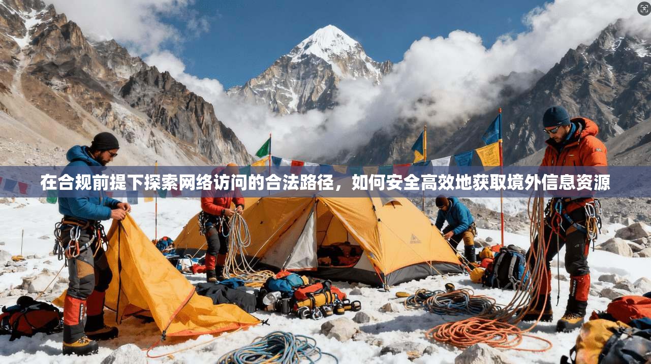 在合规前提下探索网络访问的合法路径，如何安全高效地获取境外信息资源