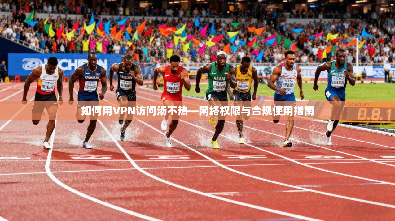 如何用VPN访问汤不热—网络权限与合规使用指南