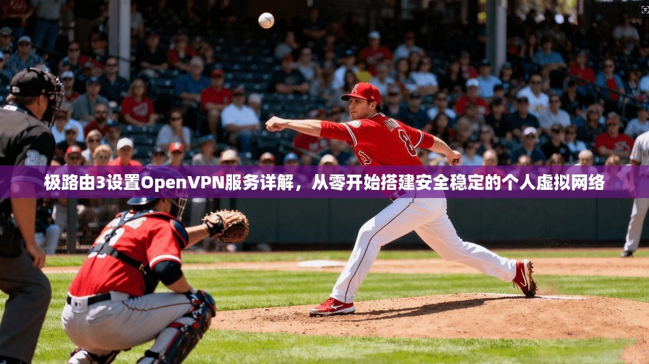 极路由3设置OpenVPN服务详解，从零开始搭建安全稳定的个人虚拟网络