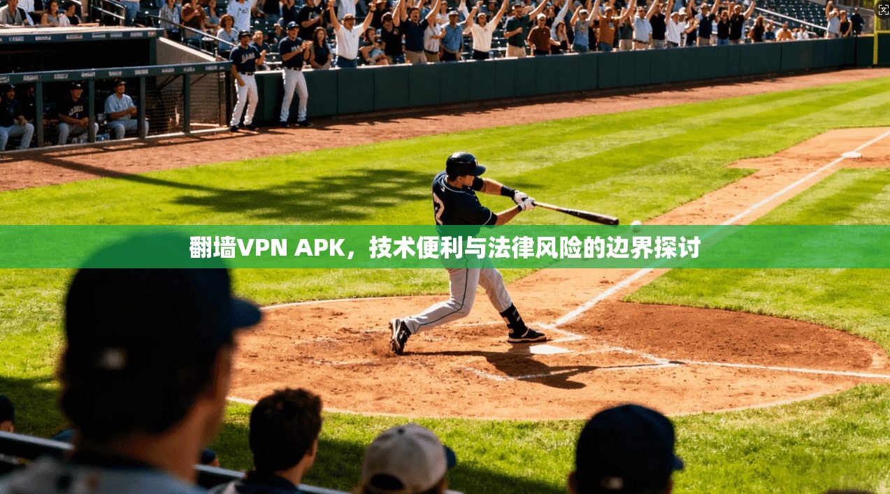 翻墙VPN APK，技术便利与法律风险的边界探讨