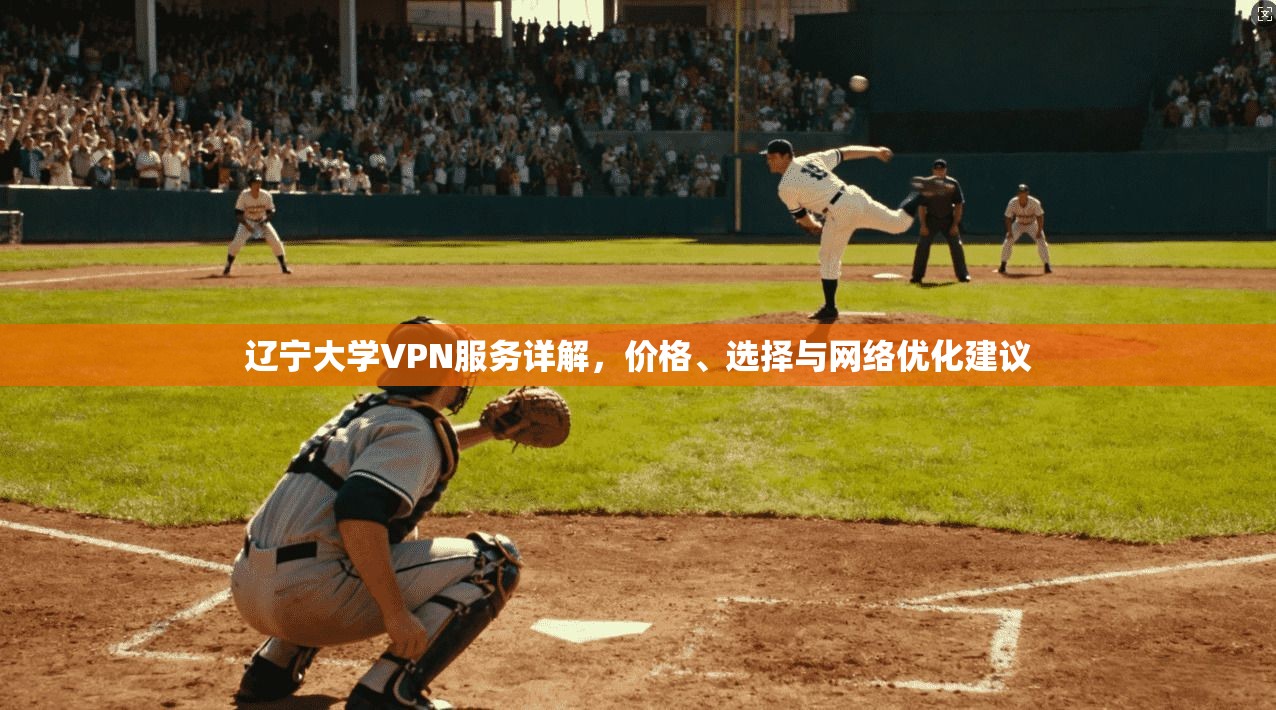 辽宁大学VPN服务详解，价格、选择与网络优化建议