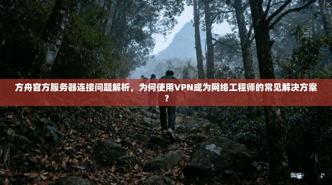 方舟官方服务器连接问题解析，为何使用VPN成为网络工程师的常见解决方案？