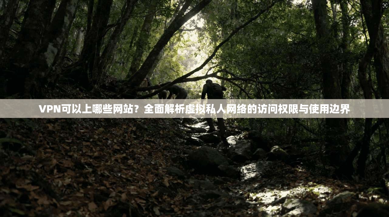 VPN可以上哪些网站？全面解析虚拟私人网络的访问权限与使用边界