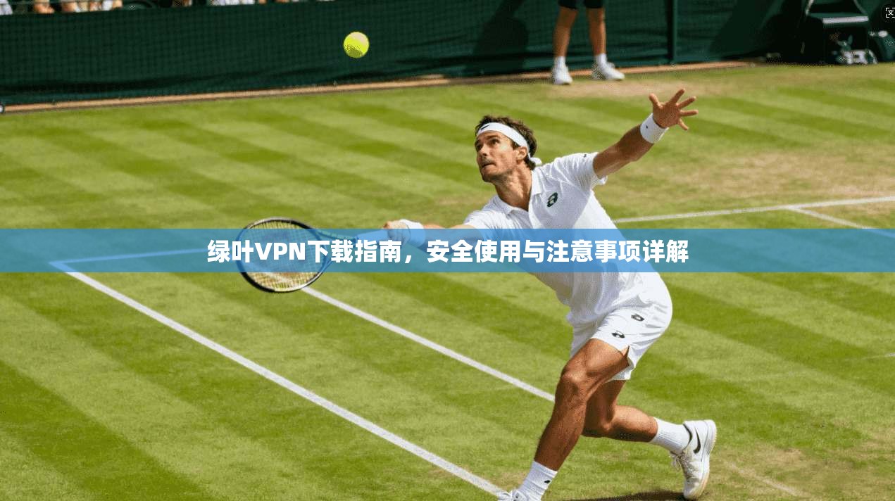 绿叶VPN下载指南，安全使用与注意事项详解