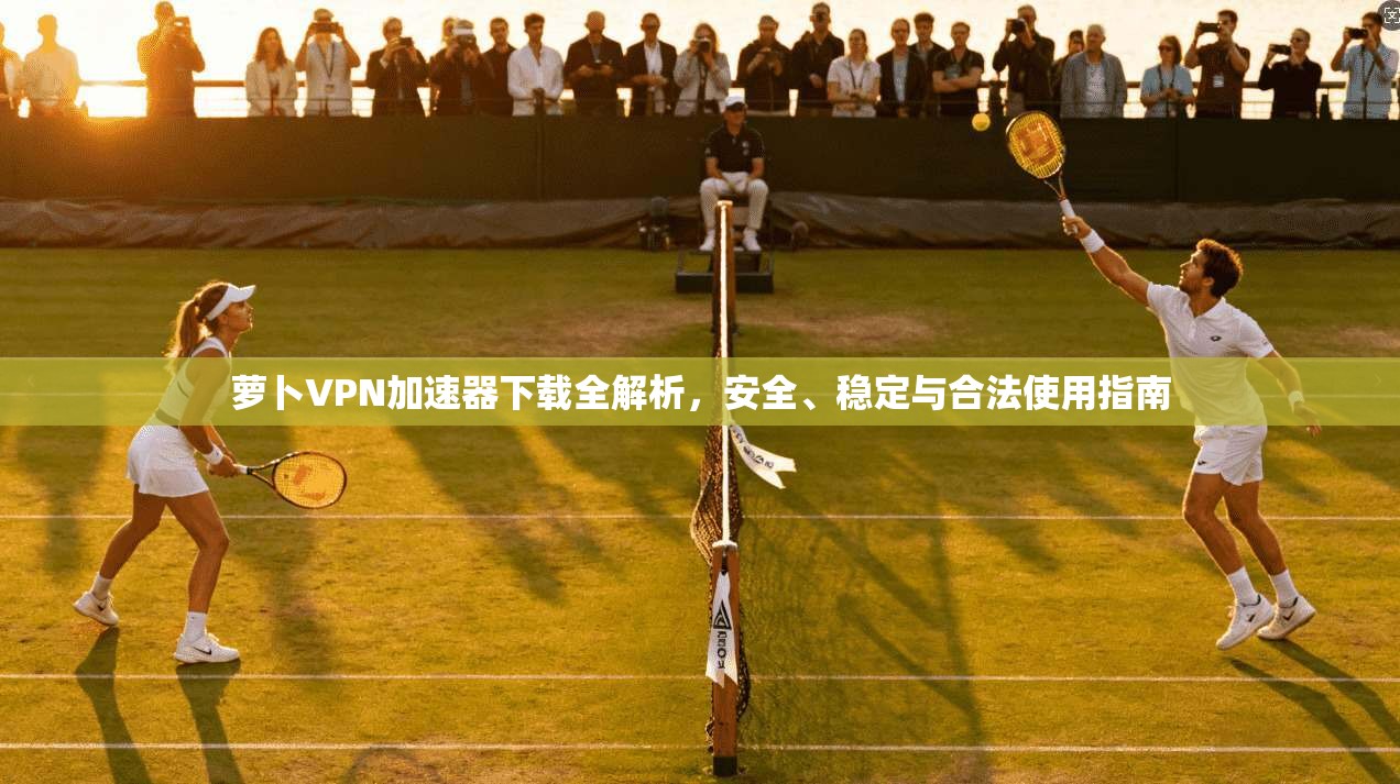 萝卜VPN加速器下载全解析，安全、稳定与合法使用指南