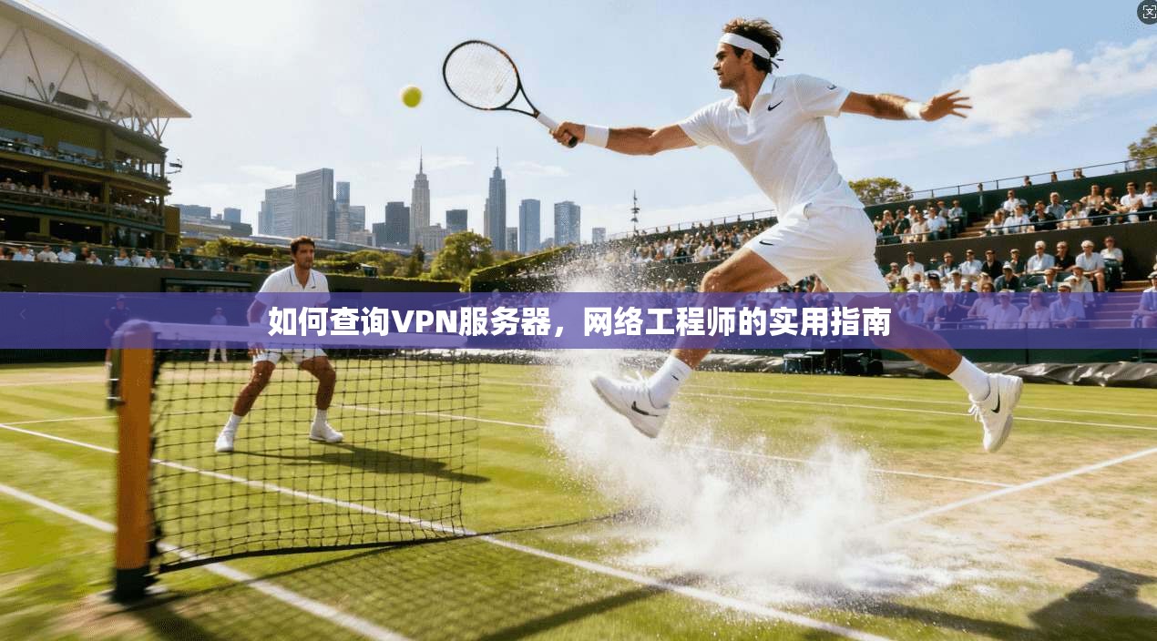 如何查询VPN服务器，网络工程师的实用指南