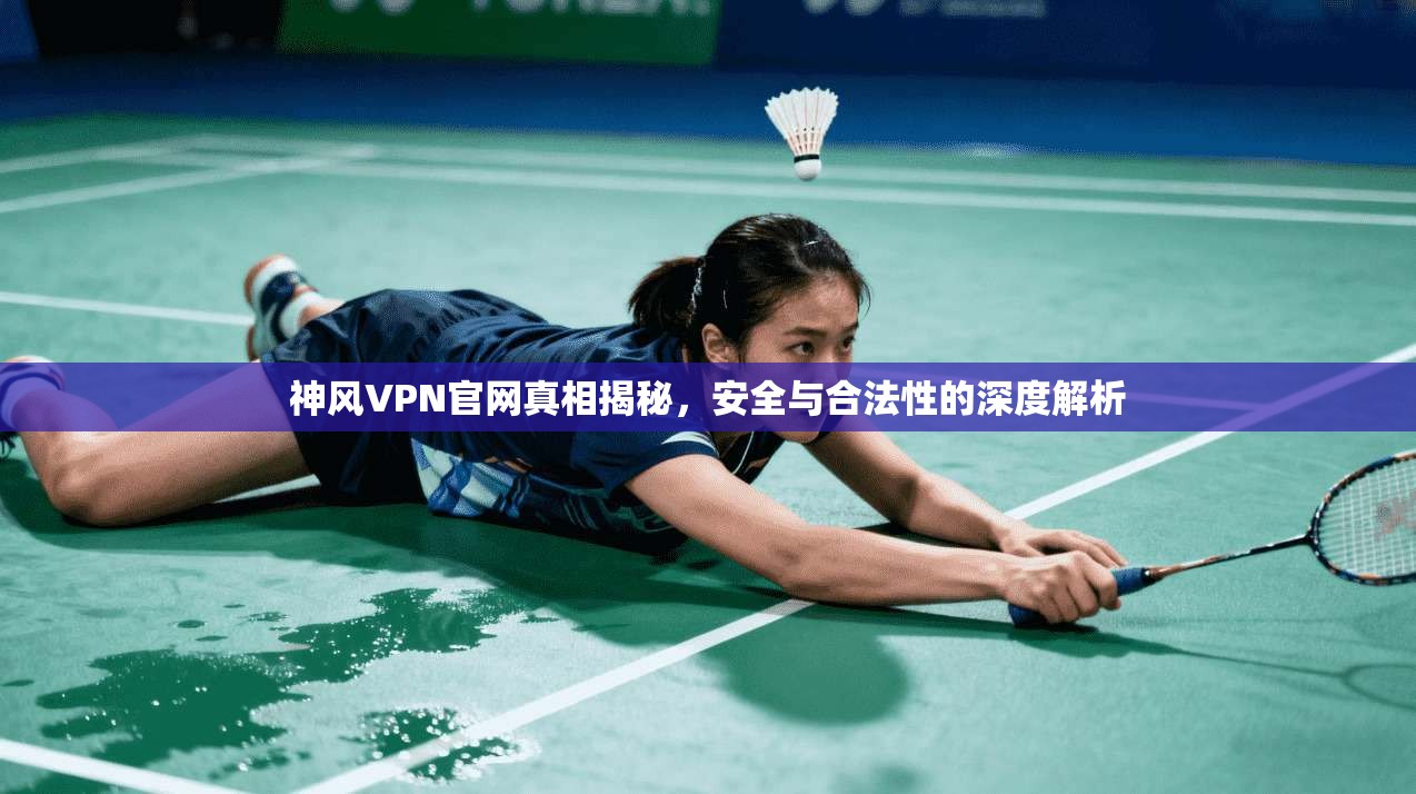 神风VPN官网真相揭秘，安全与合法性的深度解析