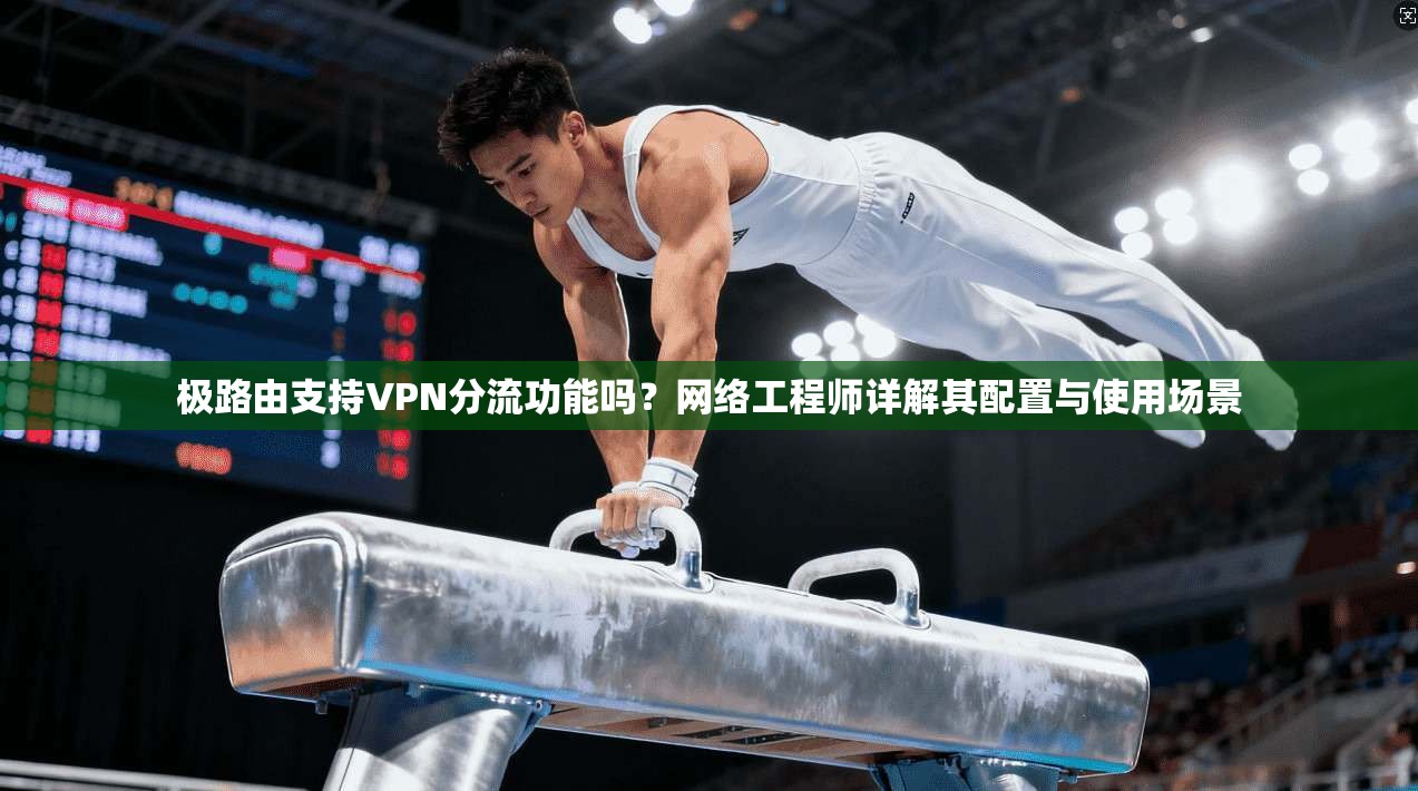 极路由支持VPN分流功能吗？网络工程师详解其配置与使用场景
