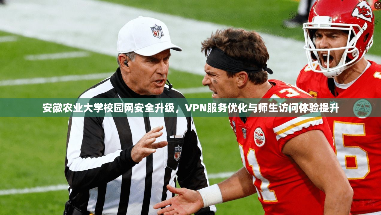 安徽农业大学校园网安全升级，VPN服务优化与师生访问体验提升