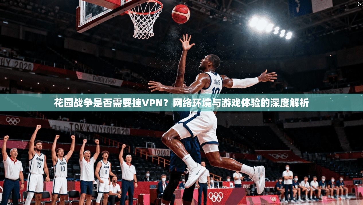 花园战争是否需要挂VPN？网络环境与游戏体验的深度解析