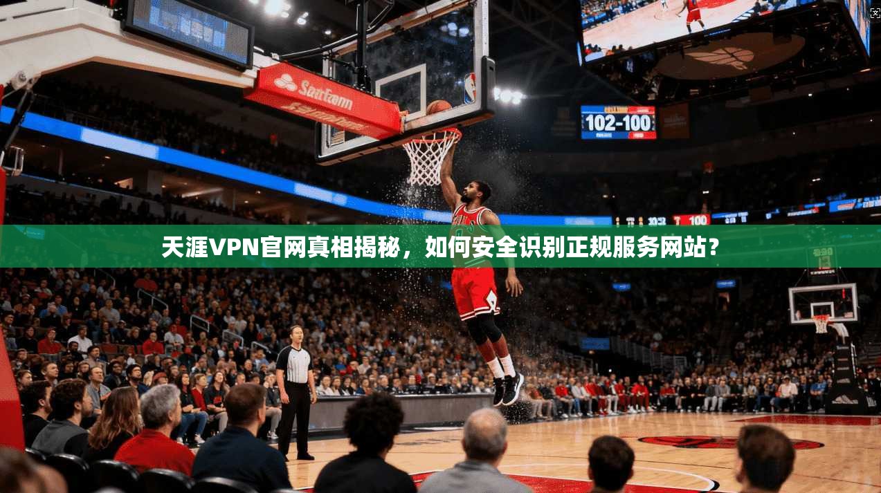 天涯VPN官网真相揭秘，如何安全识别正规服务网站？