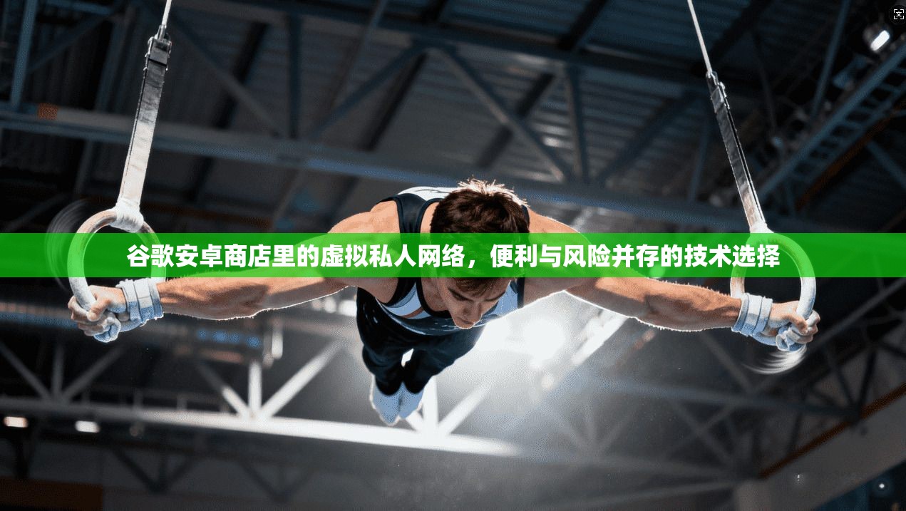 谷歌安卓商店里的虚拟私人网络，便利与风险并存的技术选择