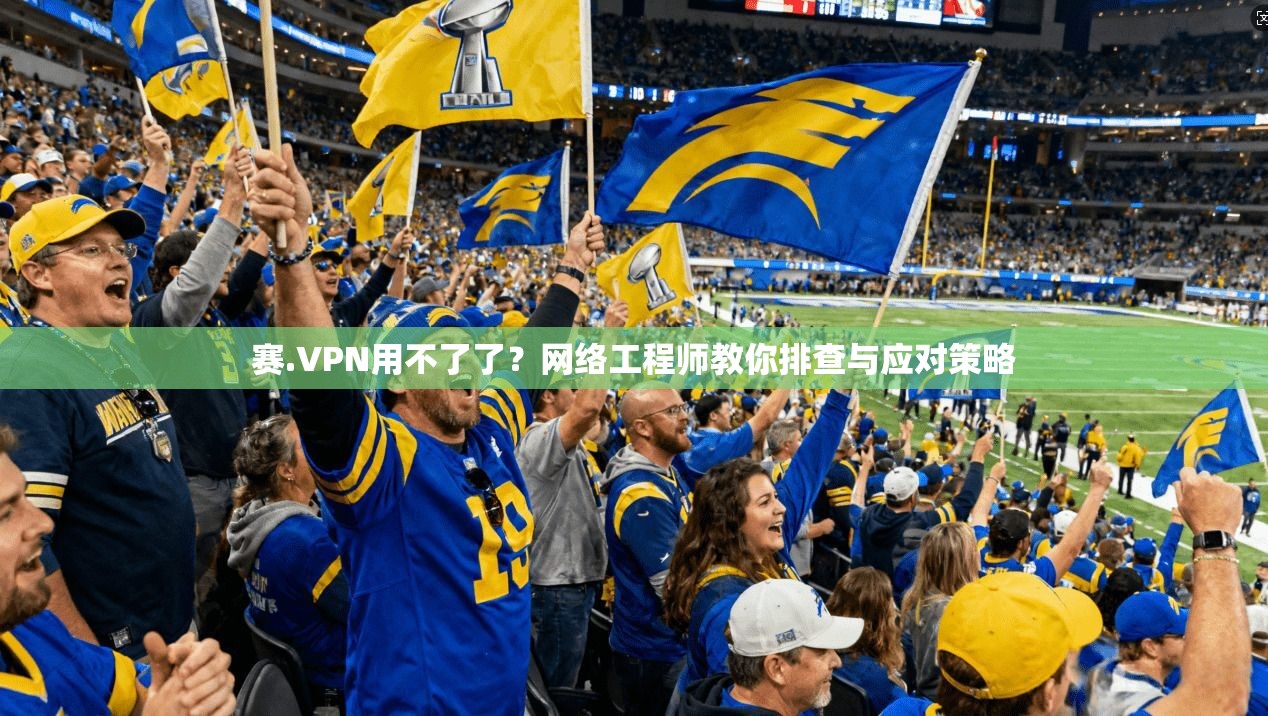 赛.VPN用不了了？网络工程师教你排查与应对策略