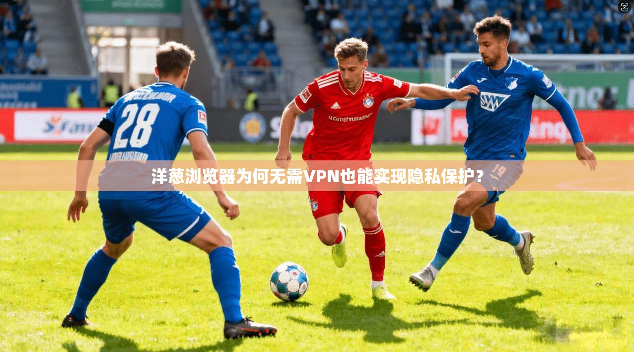 洋葱浏览器为何无需VPN也能实现隐私保护?