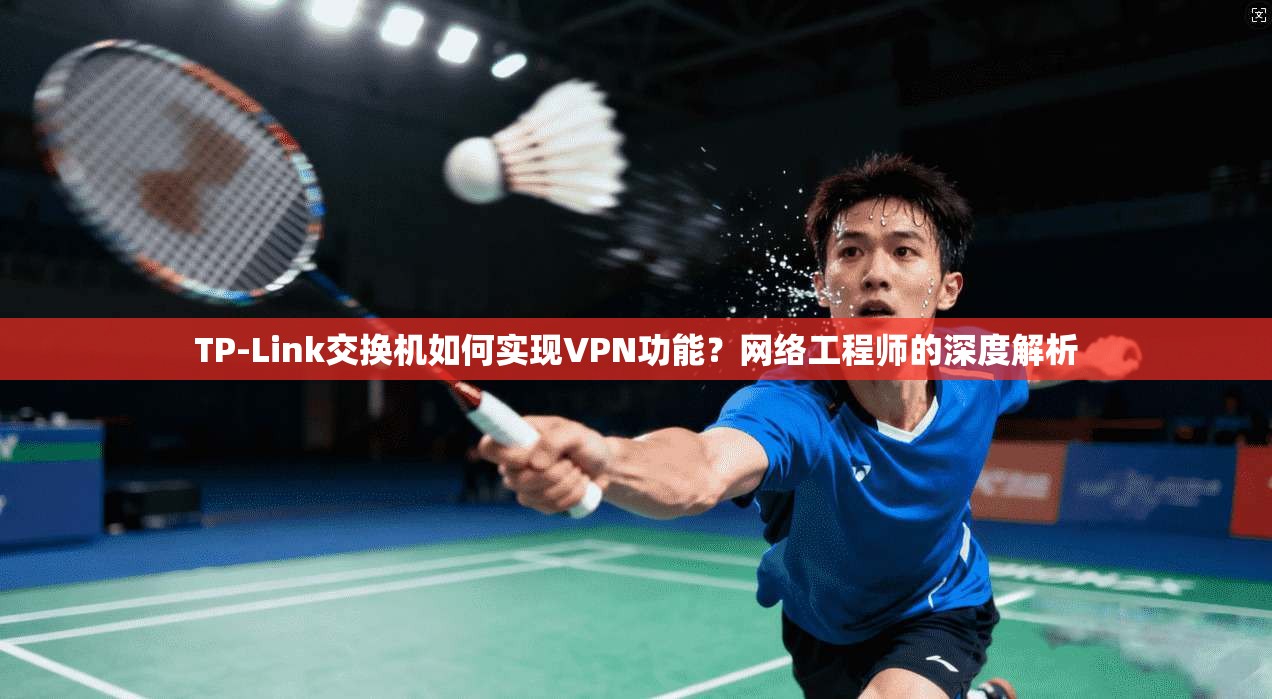 TP-Link交换机如何实现VPN功能？网络工程师的深度解析