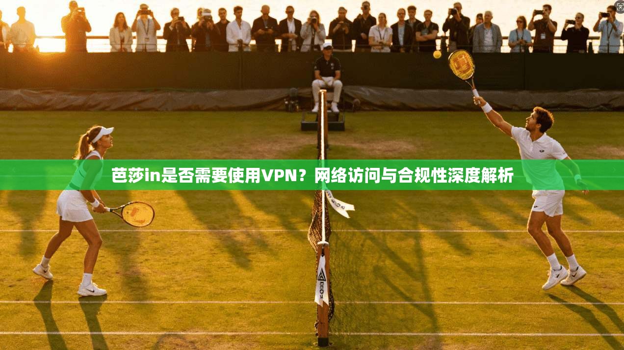 芭莎in是否需要使用VPN？网络访问与合规性深度解析