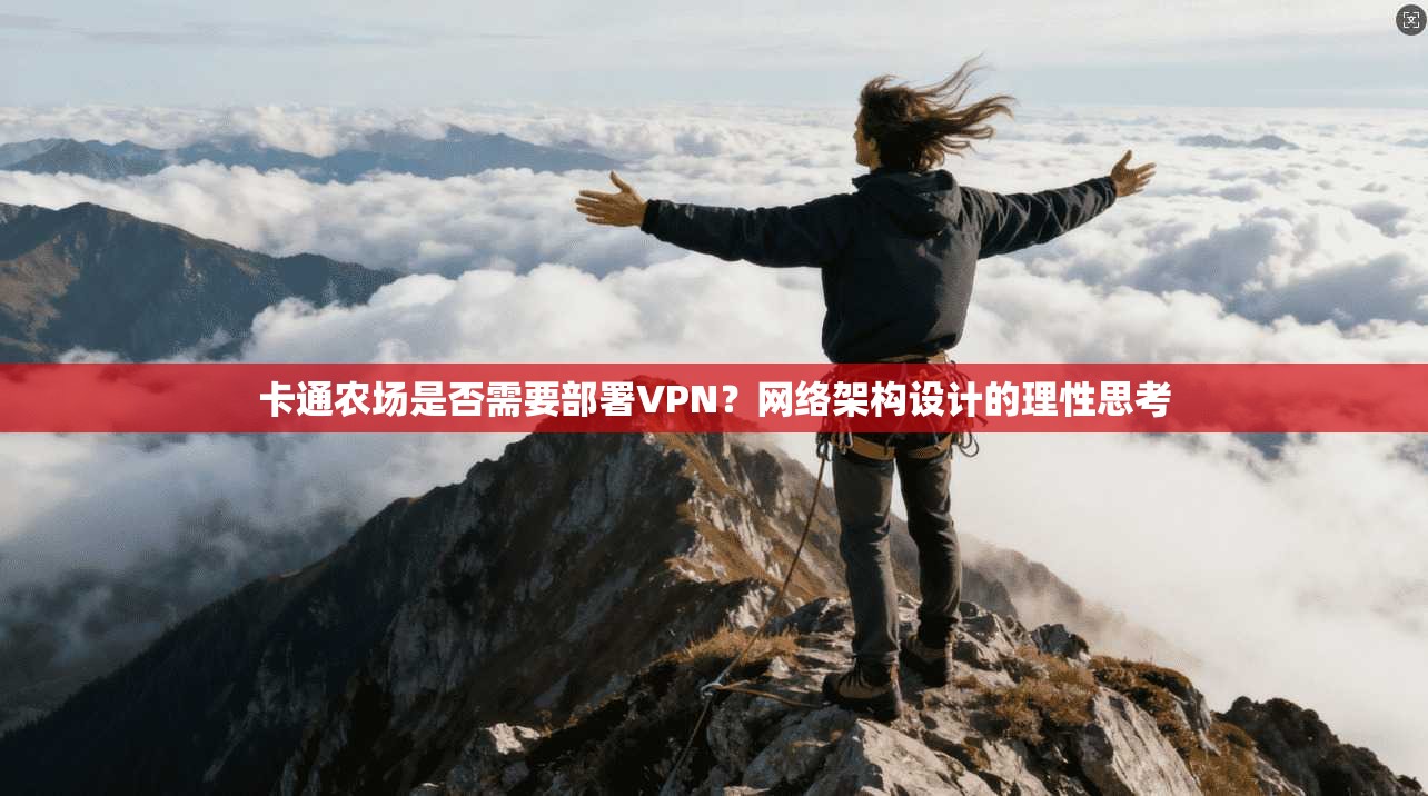 卡通农场是否需要部署VPN？网络架构设计的理性思考
