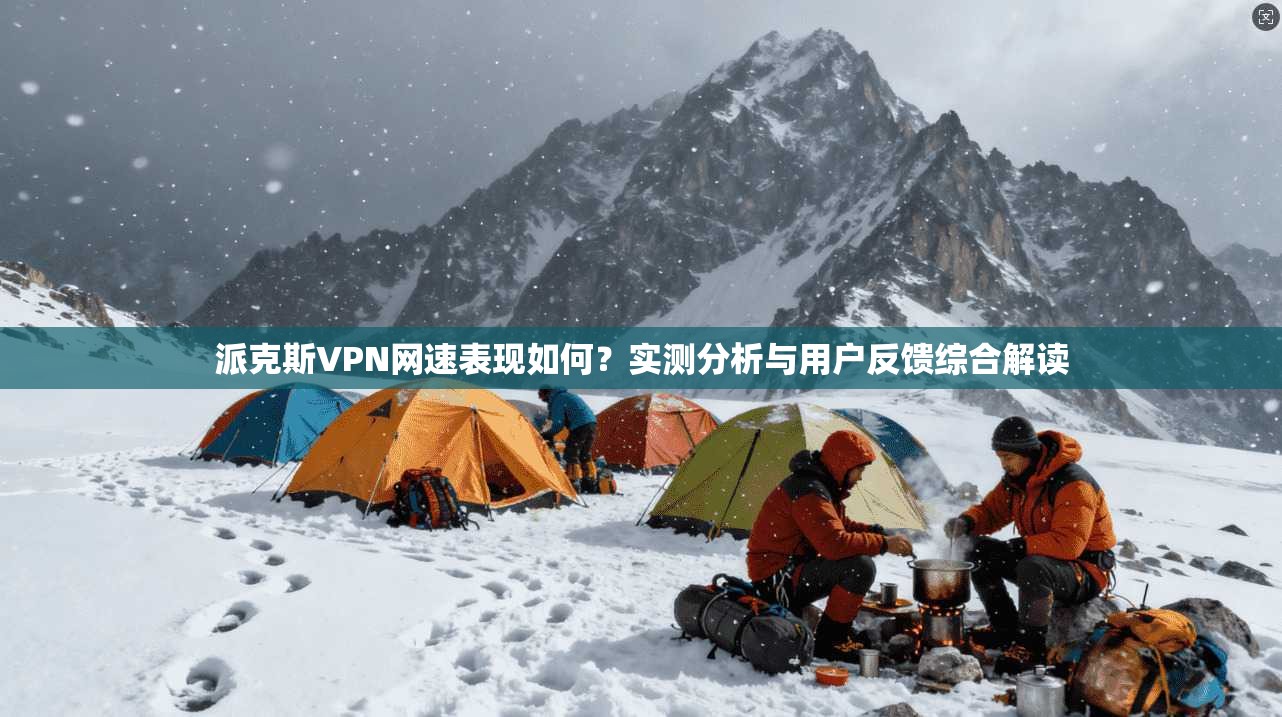 派克斯VPN网速表现如何？实测分析与用户反馈综合解读