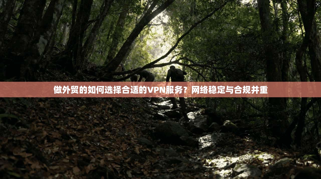 做外贸的如何选择合适的VPN服务?网络稳定与合规并重