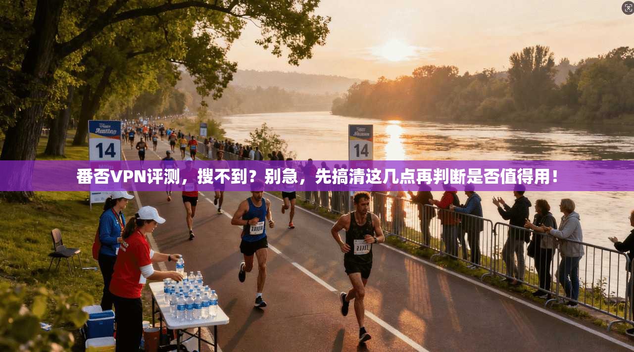 番否VPN评测，搜不到？别急，先搞清这几点再判断是否值得用！