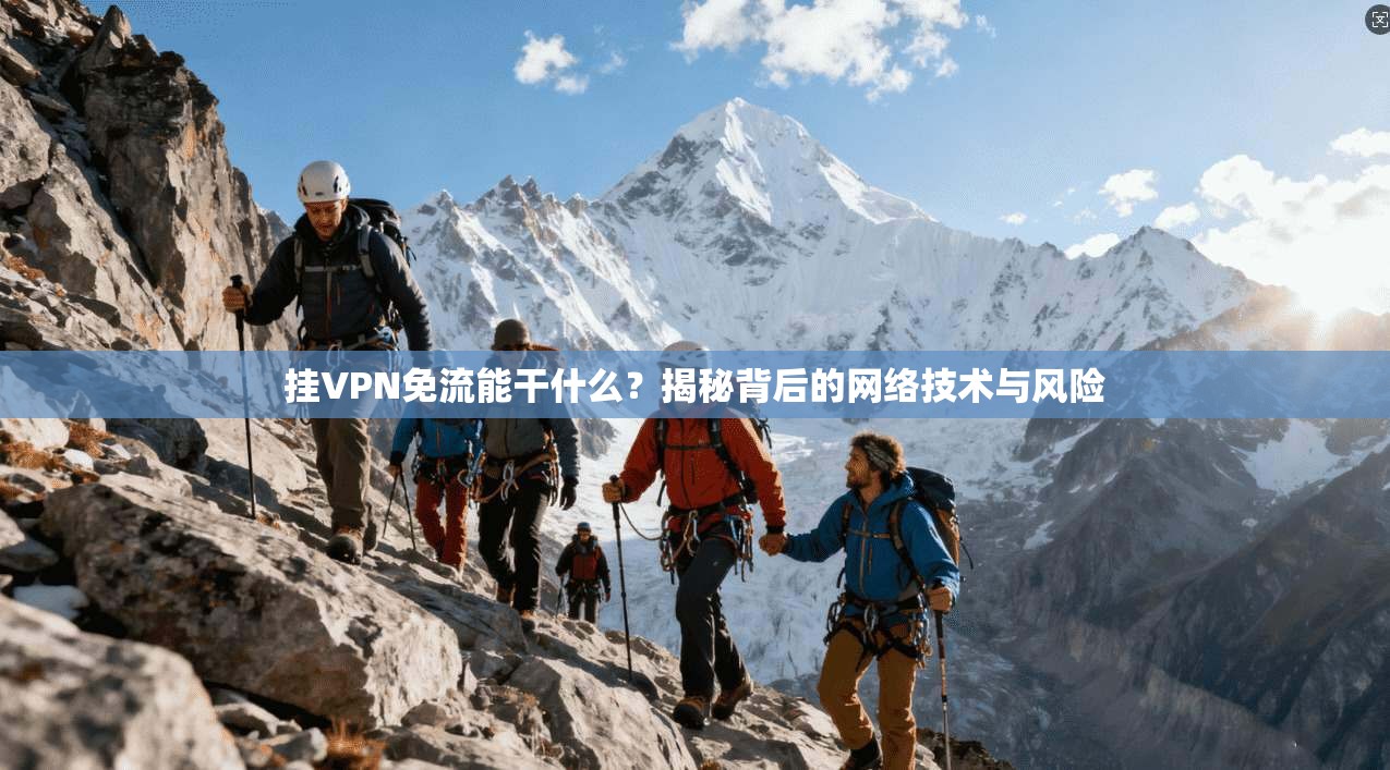 挂VPN免流能干什么？揭秘背后的网络技术与风险