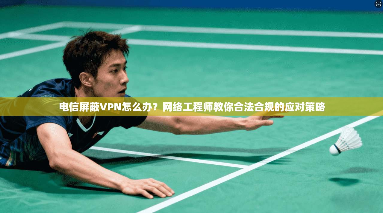 电信屏蔽VPN怎么办？网络工程师教你合法合规的应对策略