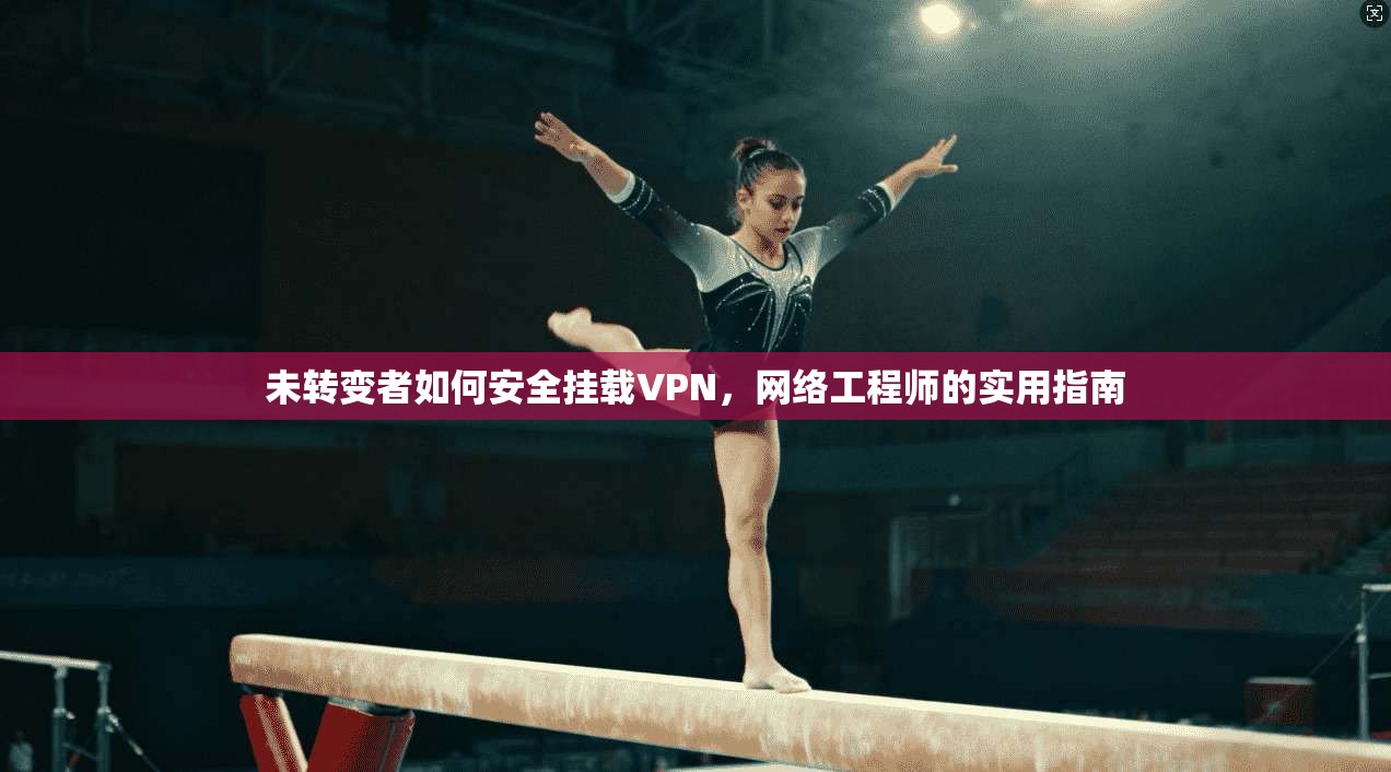 未转变者如何安全挂载VPN，网络工程师的实用指南