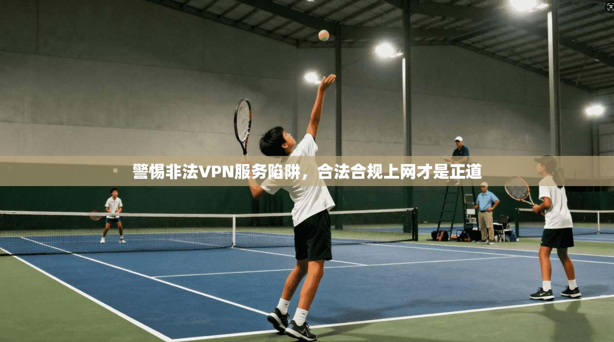 警惕非法VPN服务陷阱,合法合规上网才是正道