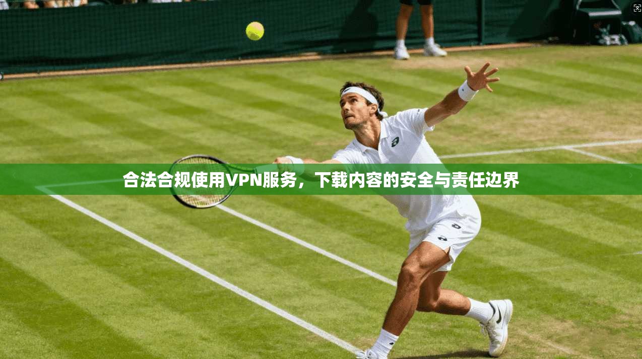 合法合规使用VPN服务，下载内容的安全与责任边界