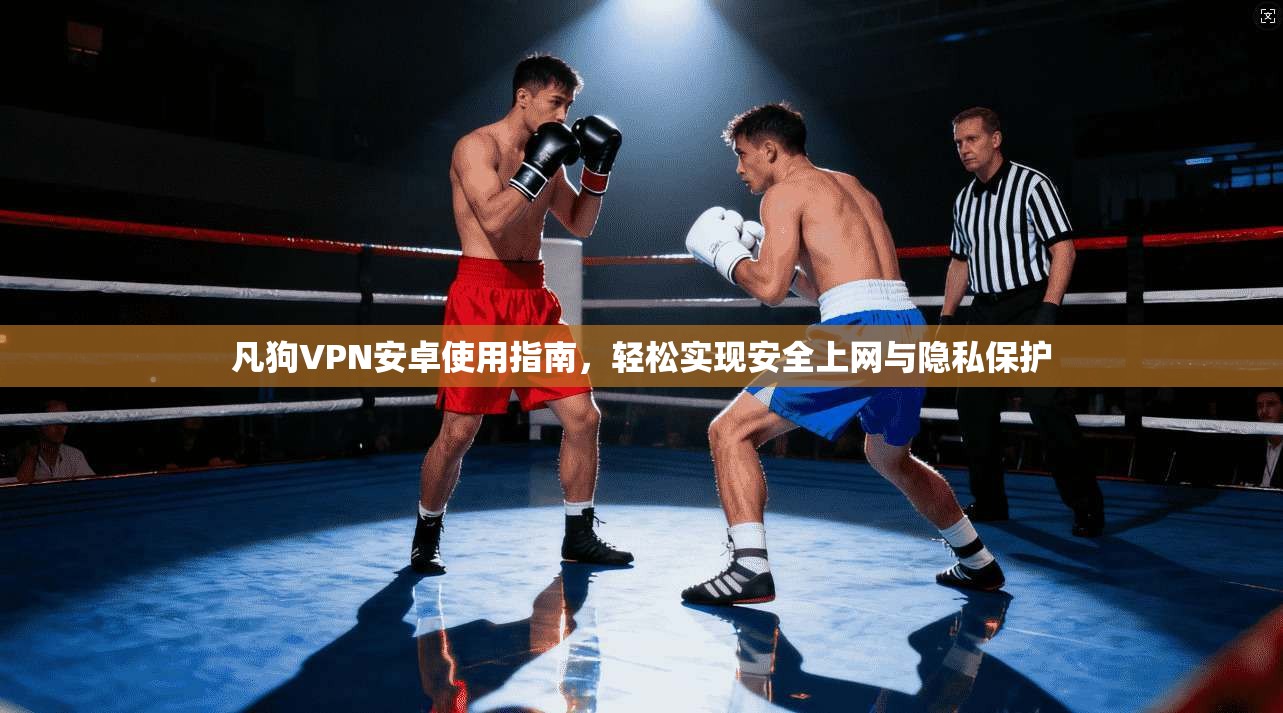 凡狗VPN安卓使用指南，轻松实现安全上网与隐私保护