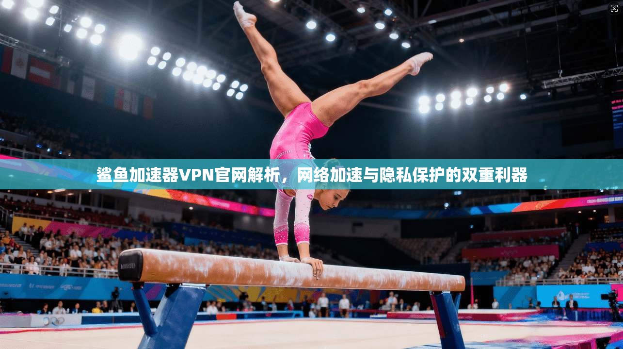 鲨鱼加速器VPN官网解析,网络加速与隐私保护的双重利器