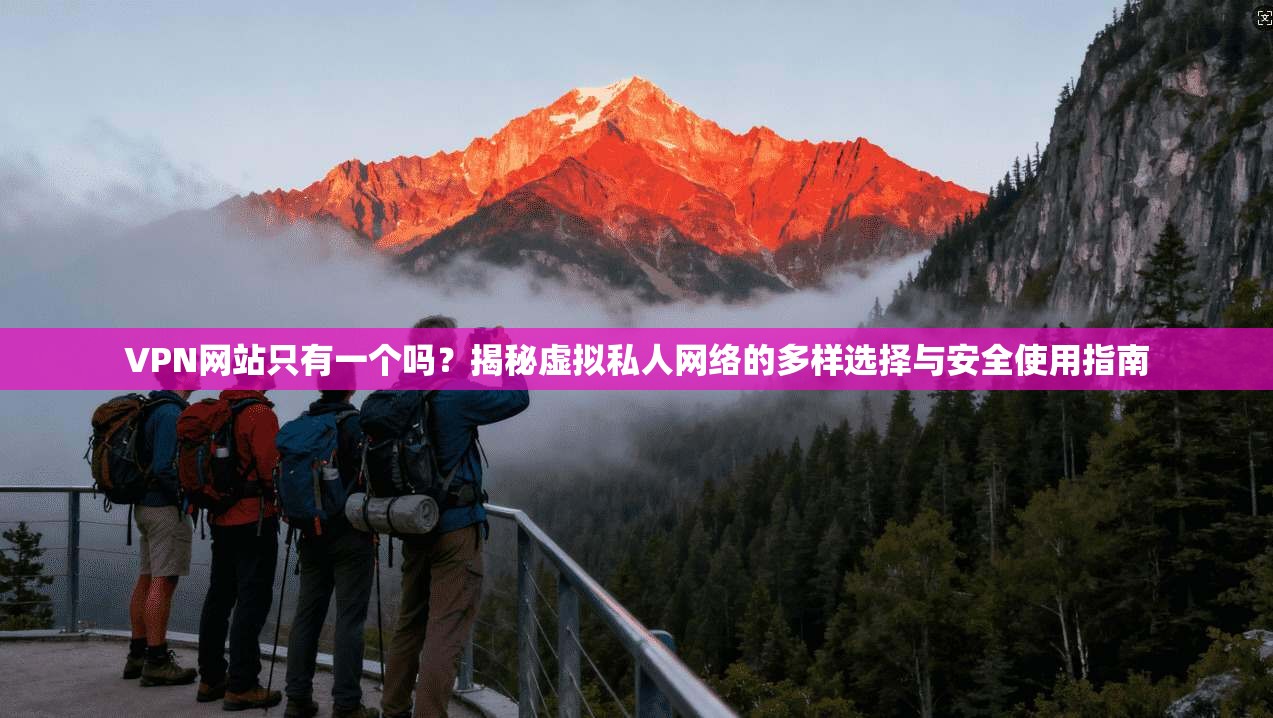 VPN网站只有一个吗?揭秘虚拟私人网络的多样选择与安全使用指南