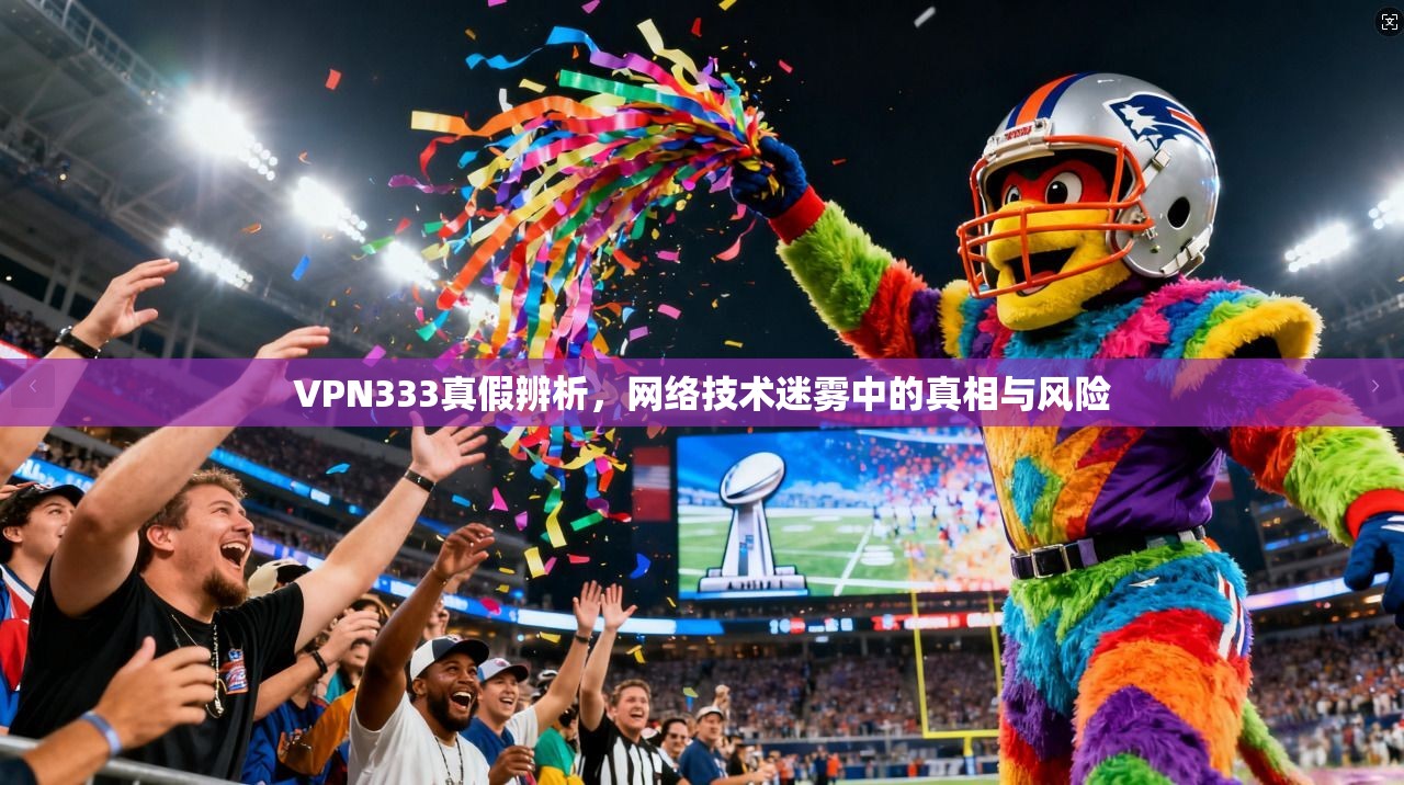 VPN333真假辨析,网络技术迷雾中的真相与风险