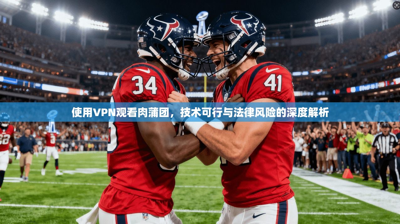 使用VPN观看肉蒲团，技术可行与法律风险的深度解析