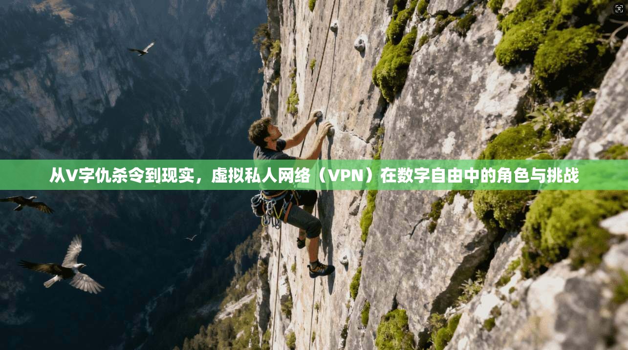 从V字仇杀令到现实,虚拟私人网络(VPN)在数字自由中的角色与挑战