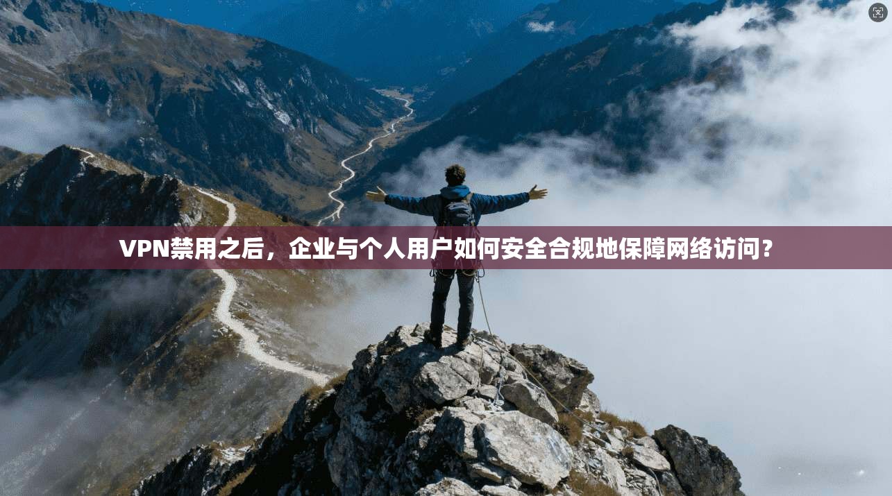 VPN禁用之后，企业与个人用户如何安全合规地保障网络访问？