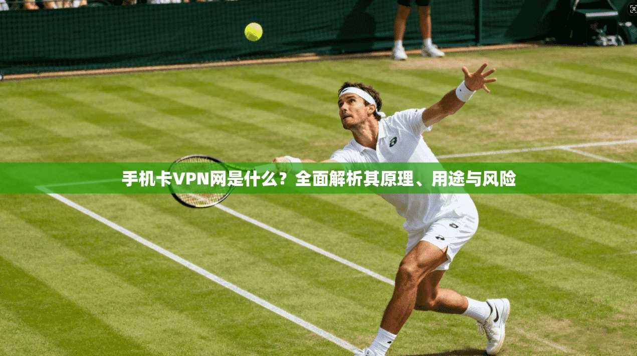 手机卡VPN网是什么？全面解析其原理、用途与风险