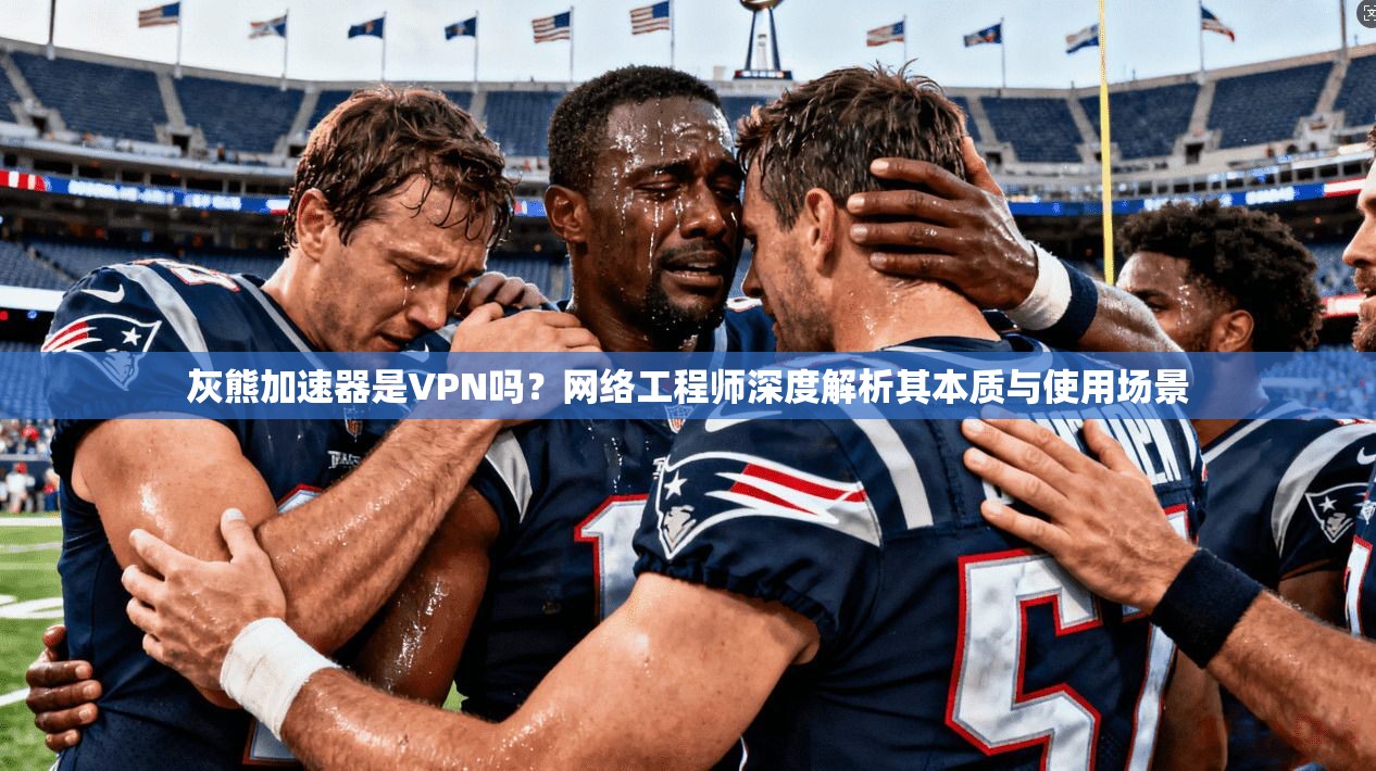 灰熊加速器是VPN吗？网络工程师深度解析其本质与使用场景