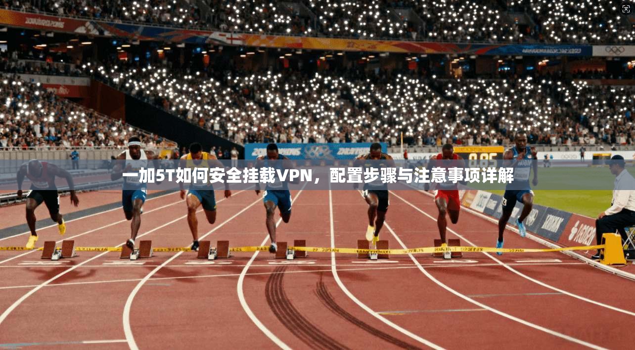 一加5T如何安全挂载VPN，配置步骤与注意事项详解