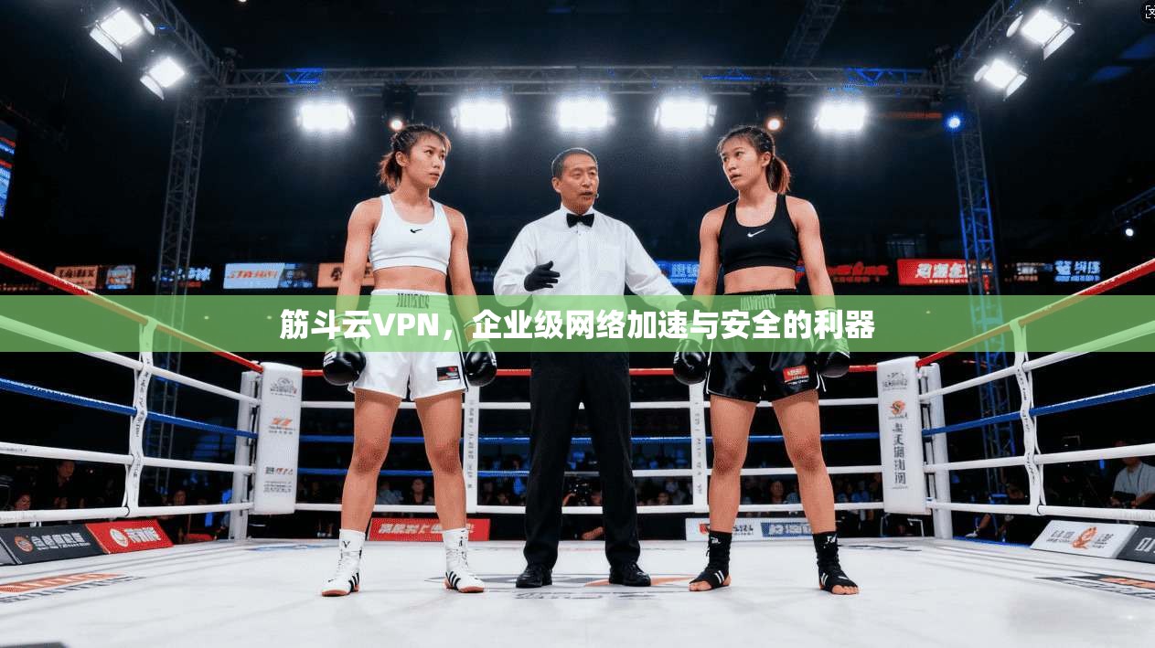 筋斗云VPN,企业级网络加速与安全的利器 第1张 筋斗云VPN,企业级网络加速与安全的利器 第1张