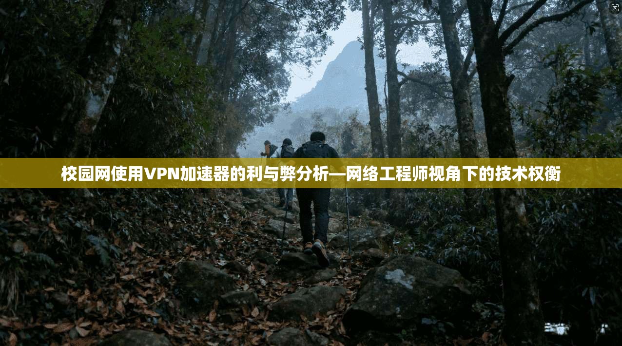 校园网使用VPN加速器的利与弊分析—网络工程师视角下的技术权衡 第1张 校园网使用VPN加速器的利与弊分析—网络工程师视角下的技术权衡 第1张